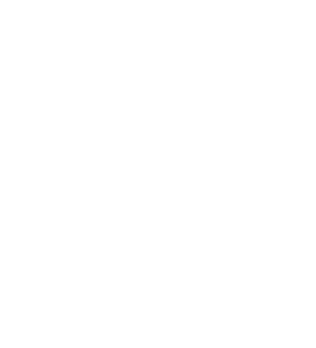 y logo